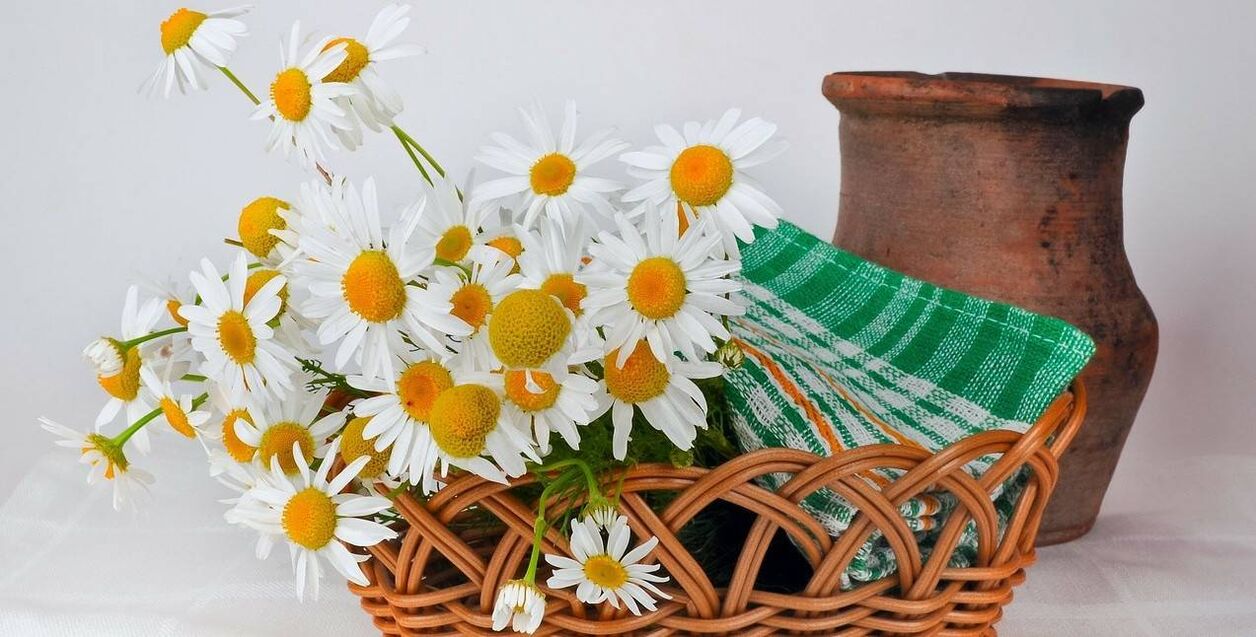 come fare un tonico per il viso dai fiori di camomilla